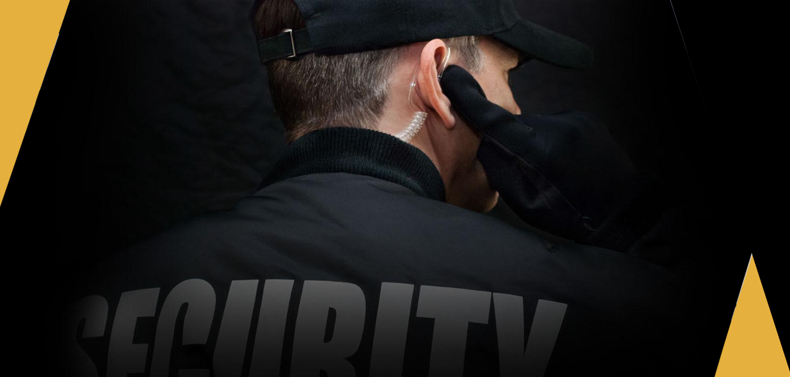 GSS Security Professionals Slide 1
